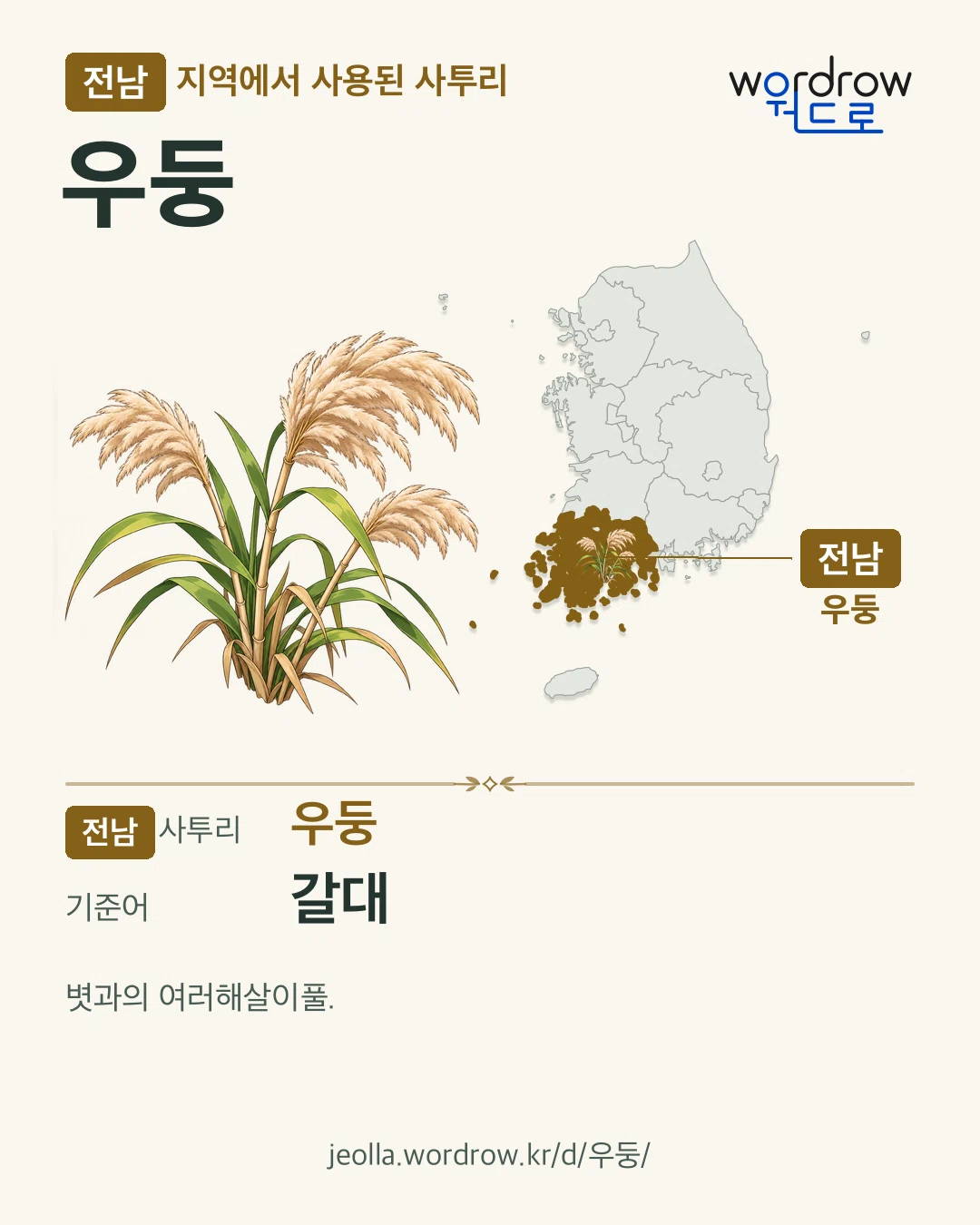 전남 지역에서 사용된 사투리 ‘우둥’. 기준어: 갈대. 기록 지역을 표시한 카툰 삽화와 지도 카드.