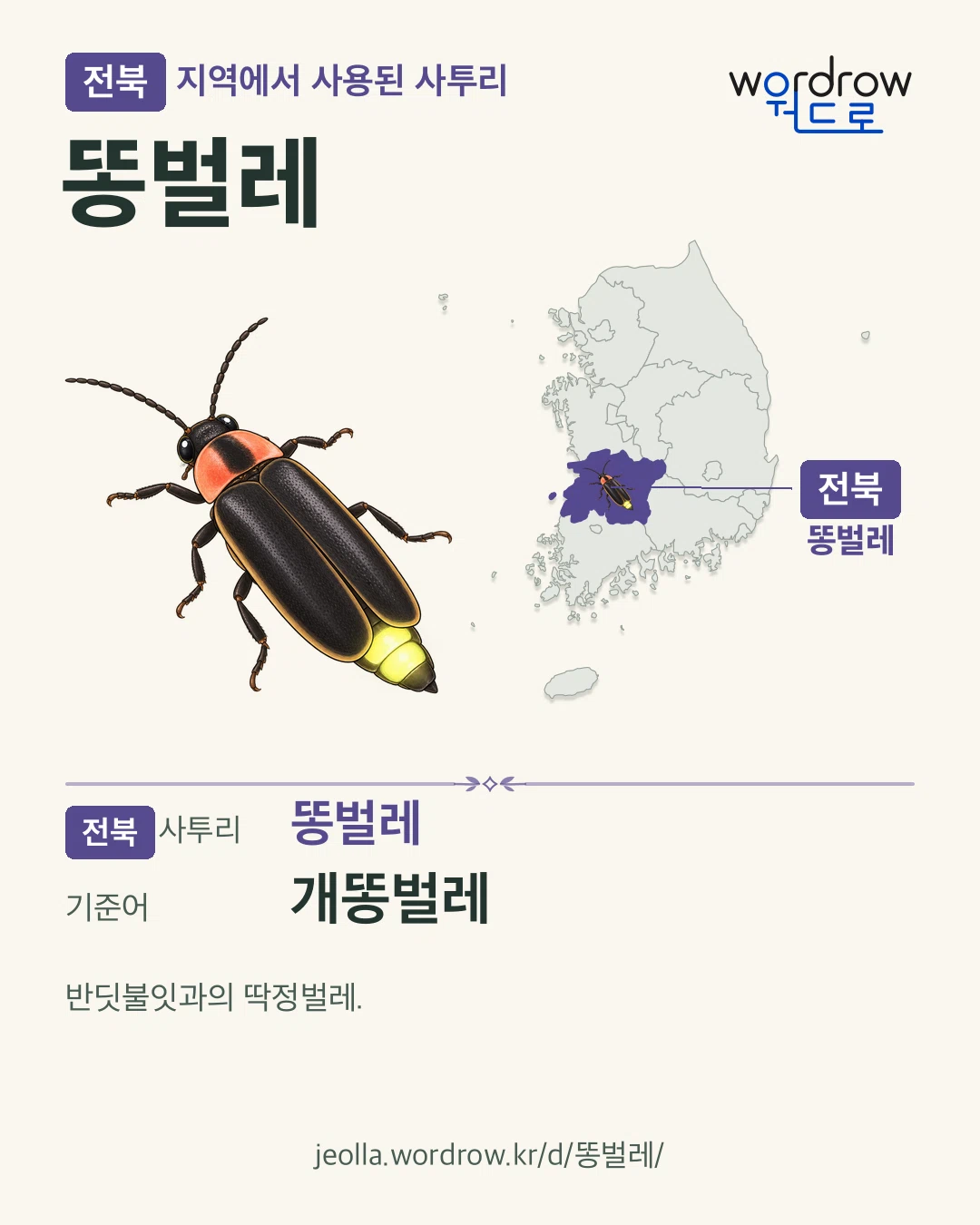 전북 지역에서 사용된 사투리 ‘똥벌레’. 기준어: 개똥벌레. 기록 지역을 표시한 카툰 삽화와 지도 카드.