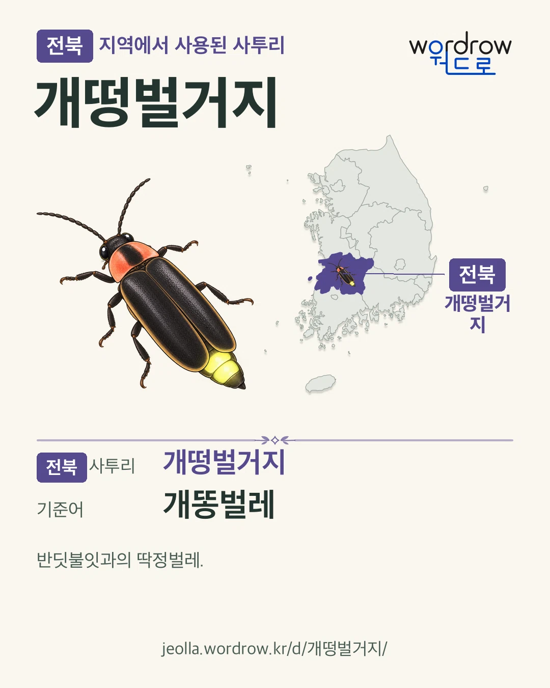 전북 지역에서 사용된 사투리 ‘개떵벌거지’. 기준어: 개똥벌레. 기록 지역을 표시한 카툰 삽화와 지도 카드.