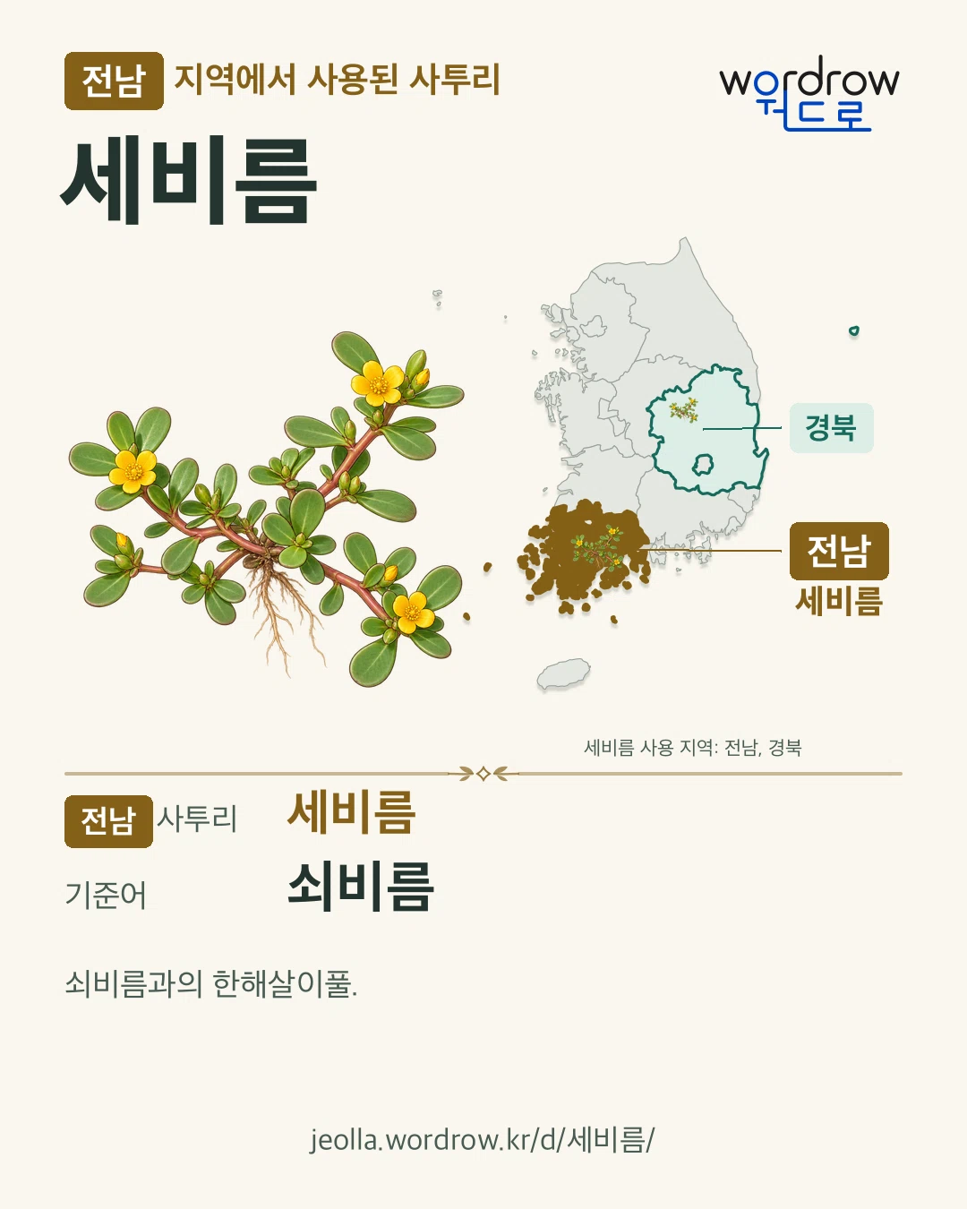 전남 지역에서 사용된 사투리 ‘세비름’. 기준어: 쇠비름. 기록 지역을 표시한 카툰 삽화와 지도 카드.