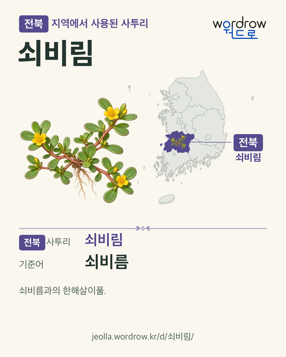 전북 지역에서 사용된 사투리 ‘쇠비림’. 기준어: 쇠비름. 기록 지역을 표시한 카툰 삽화와 지도 카드.