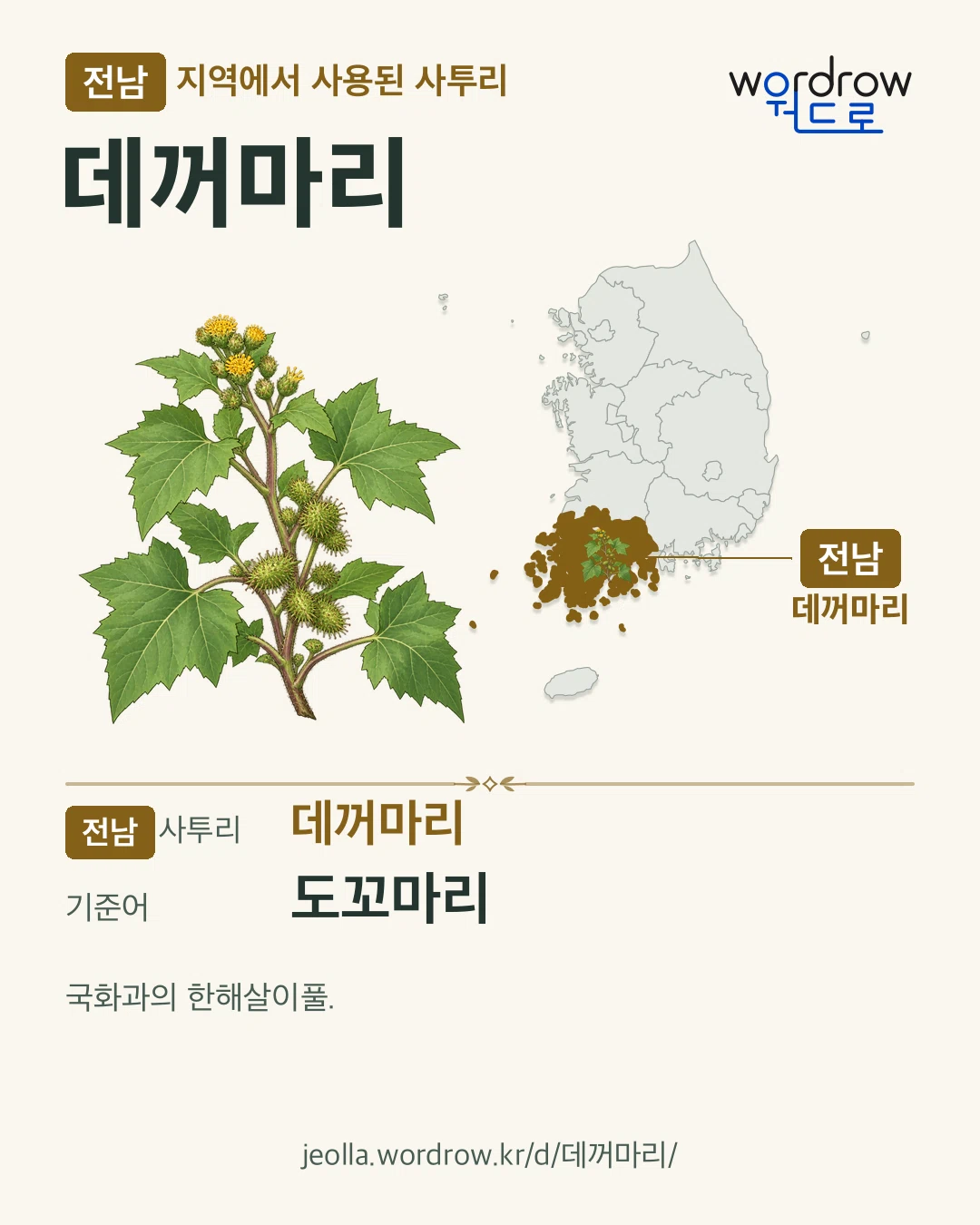 전남 지역에서 사용된 사투리 ‘데꺼마리’. 기준어: 도꼬마리. 기록 지역을 표시한 카툰 삽화와 지도 카드.