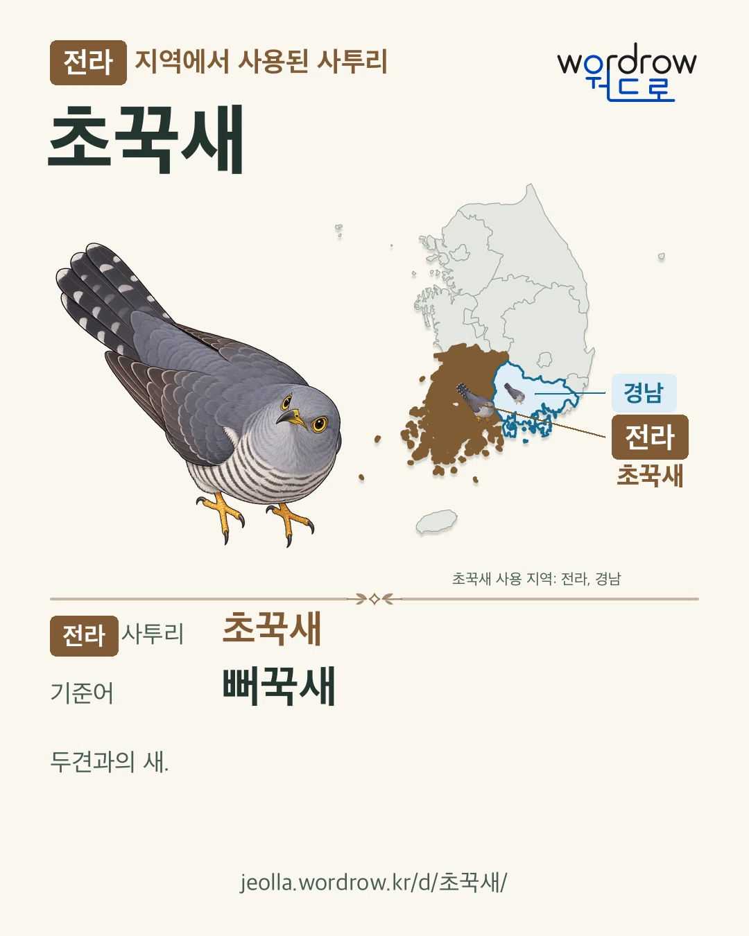 전라 지역에서 사용된 사투리 ‘초꾹새’. 기준어: 뻐꾹새. 기록 지역을 표시한 카툰 삽화와 지도 카드.
