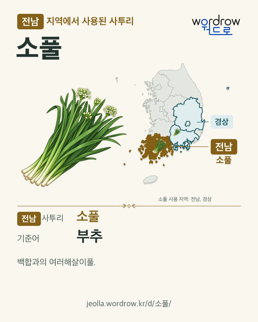 전남 지역에서 사용된 사투리 ‘소풀’. 기준어: 부추. 기록 지역을 표시한 카툰 삽화와 지도 카드.