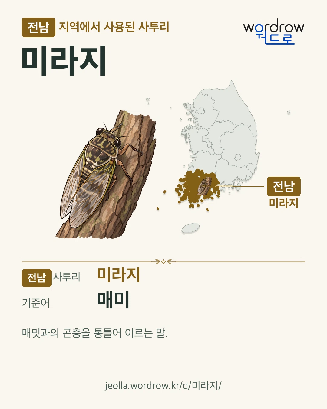 전남 지역에서 사용된 사투리 ‘미라지’. 기준어: 매미. 기록 지역을 표시한 카툰 삽화와 지도 카드.