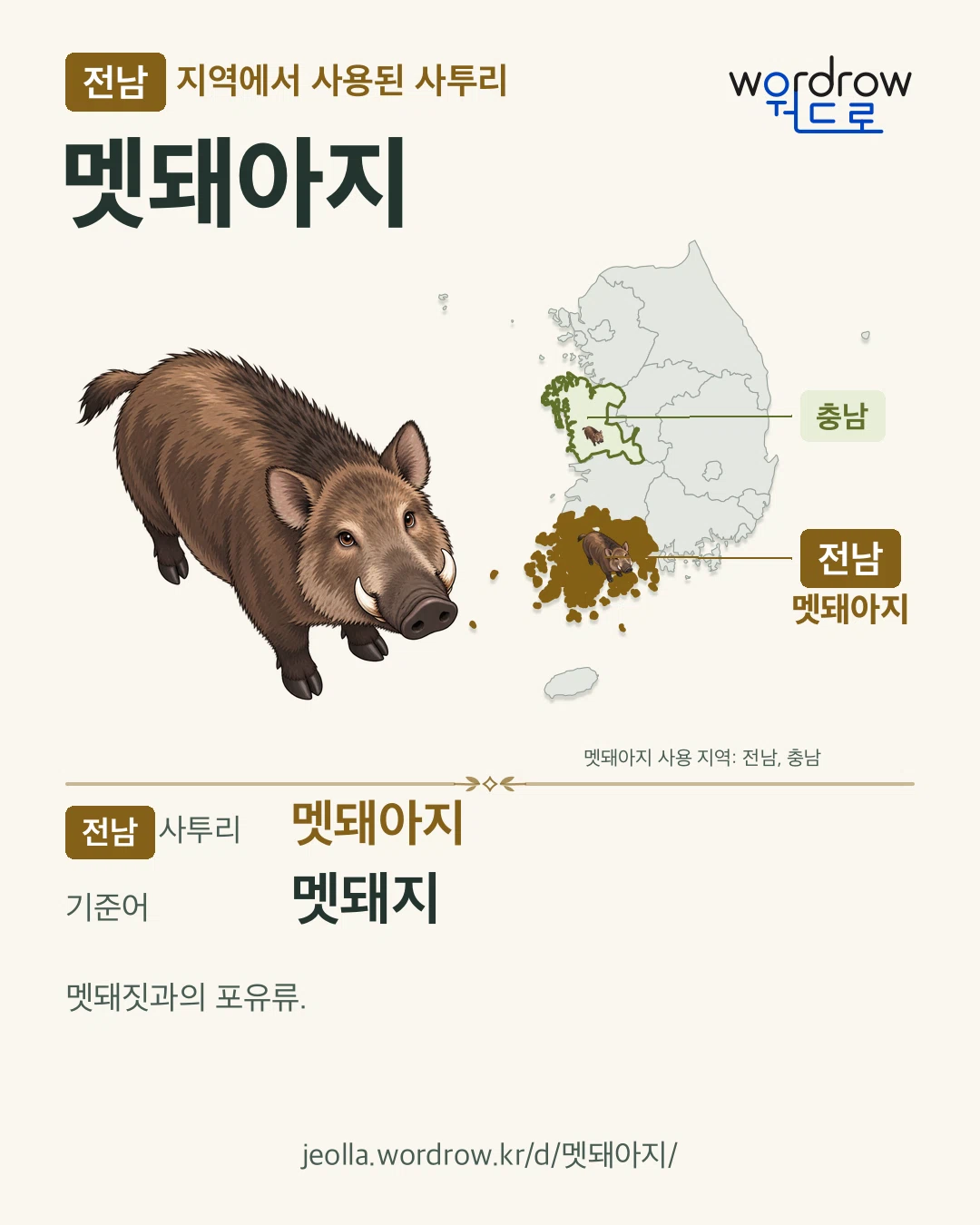 전남 지역에서 사용된 사투리 ‘멧돼아지’. 기준어: 멧돼지. 기록 지역을 표시한 카툰 삽화와 지도 카드.