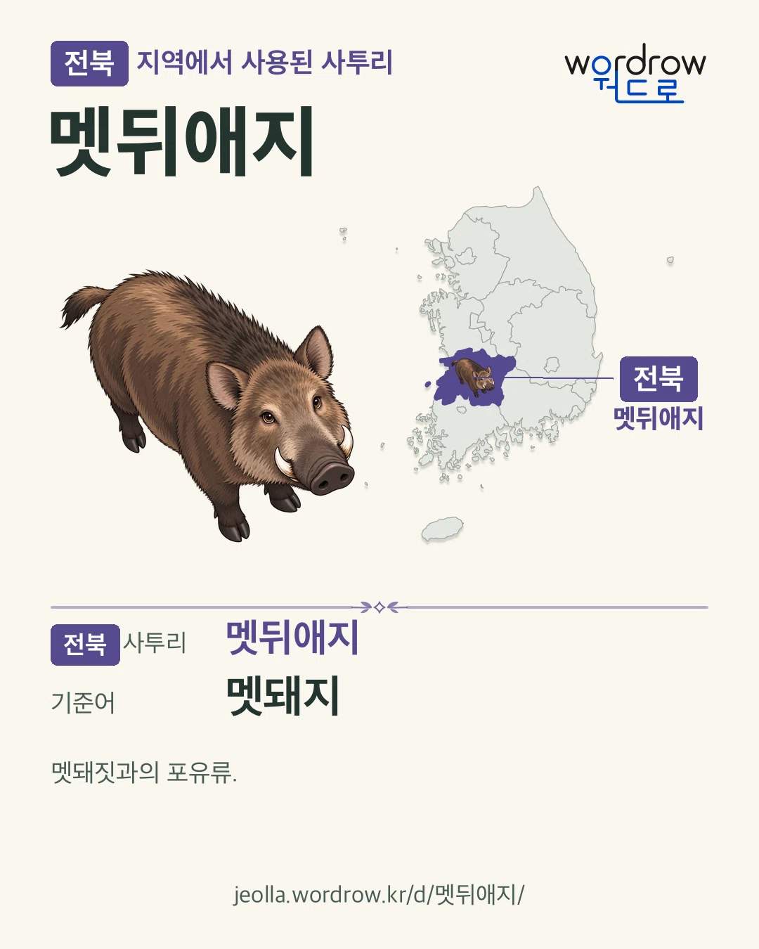 전북 지역에서 사용된 사투리 ‘멧뒤애지’. 기준어: 멧돼지. 기록 지역을 표시한 카툰 삽화와 지도 카드.