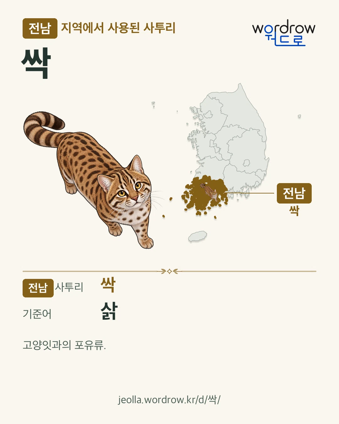 전남 지역에서 사용된 사투리 ‘싹’. 기준어: 삵. 기록 지역을 표시한 카툰 삽화와 지도 카드.