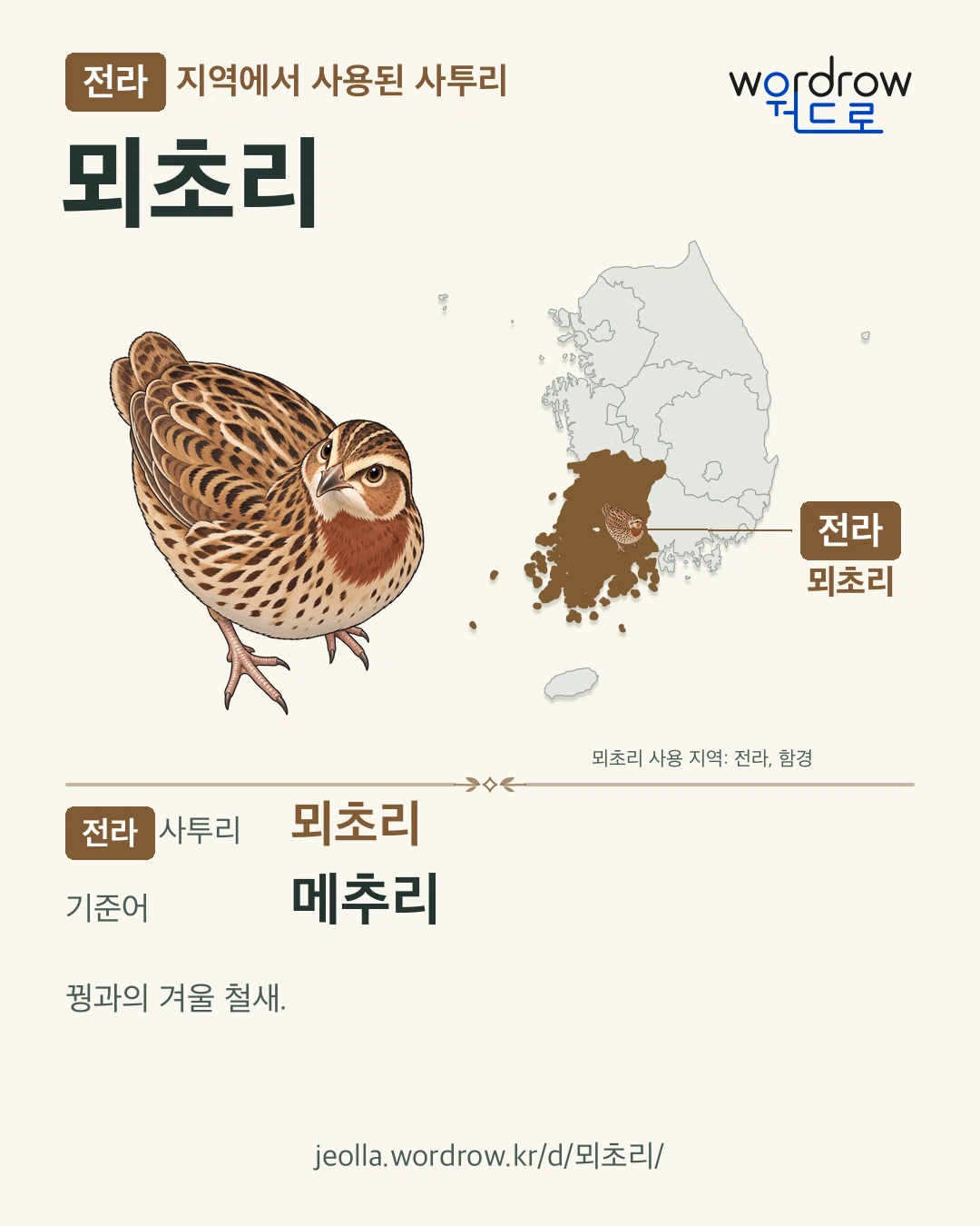 전라 지역에서 사용된 사투리 ‘뫼초리’. 기준어: 메추리. 기록 지역을 표시한 카툰 삽화와 지도 카드.