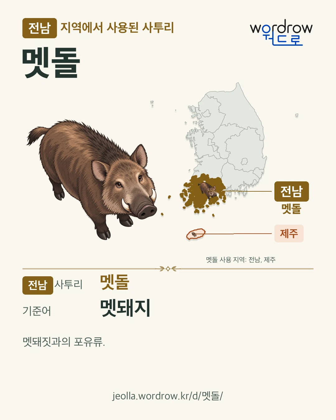 전남 지역에서 사용된 사투리 ‘멧돌’. 기준어: 멧돼지. 기록 지역을 표시한 카툰 삽화와 지도 카드.