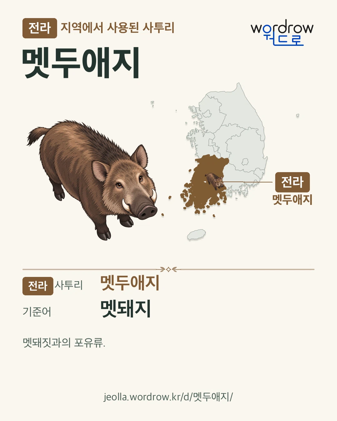 전라 지역에서 사용된 사투리 ‘멧두애지’. 기준어: 멧돼지. 기록 지역을 표시한 카툰 삽화와 지도 카드.