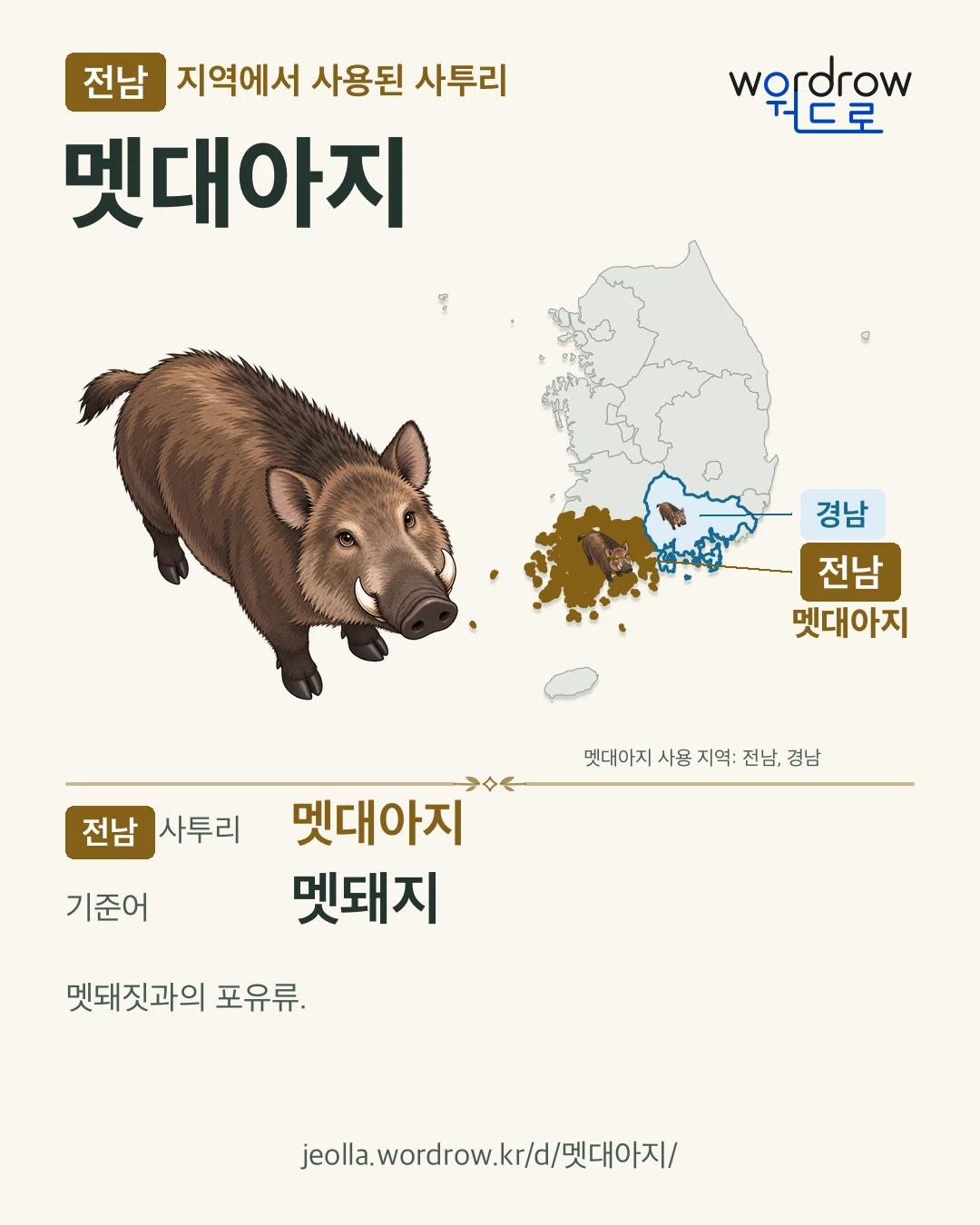 전남 지역에서 사용된 사투리 ‘멧대아지’. 기준어: 멧돼지. 기록 지역을 표시한 카툰 삽화와 지도 카드.