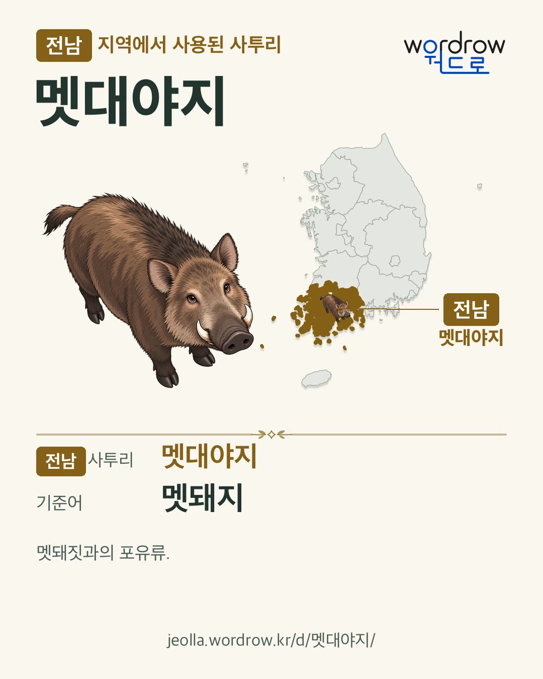 전남 지역에서 사용된 사투리 ‘멧대야지’. 기준어: 멧돼지. 기록 지역을 표시한 카툰 삽화와 지도 카드.