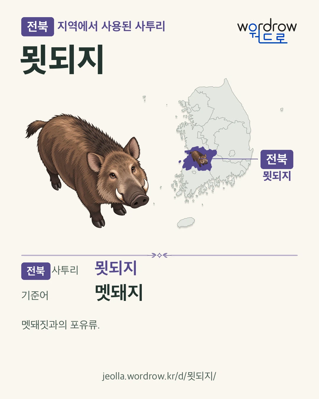 전북 지역에서 사용된 사투리 ‘묏되지’. 기준어: 멧돼지. 기록 지역을 표시한 카툰 삽화와 지도 카드.