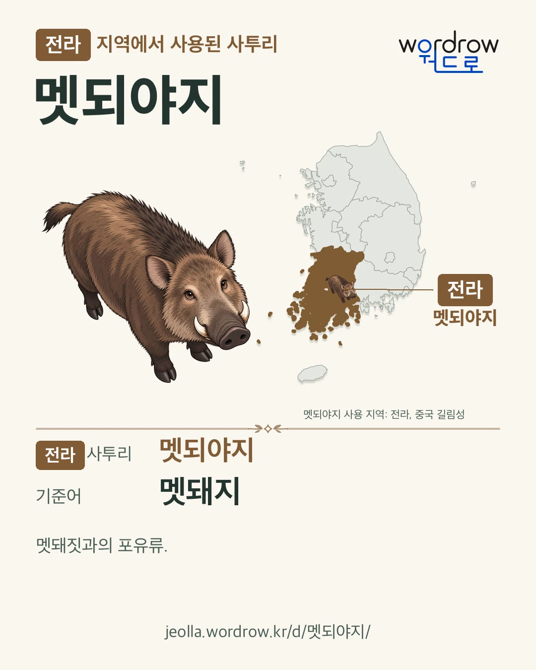 전라 지역에서 사용된 사투리 ‘멧되야지’. 기준어: 멧돼지. 기록 지역을 표시한 카툰 삽화와 지도 카드.