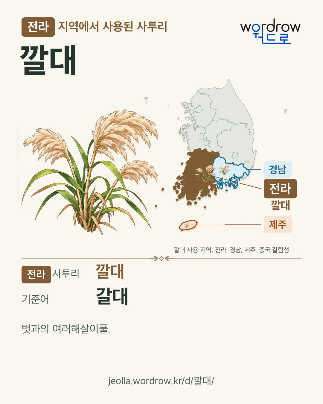전라 지역에서 사용된 사투리 ‘깔대’. 기준어: 갈대. 기록 지역을 표시한 카툰 삽화와 지도 카드.