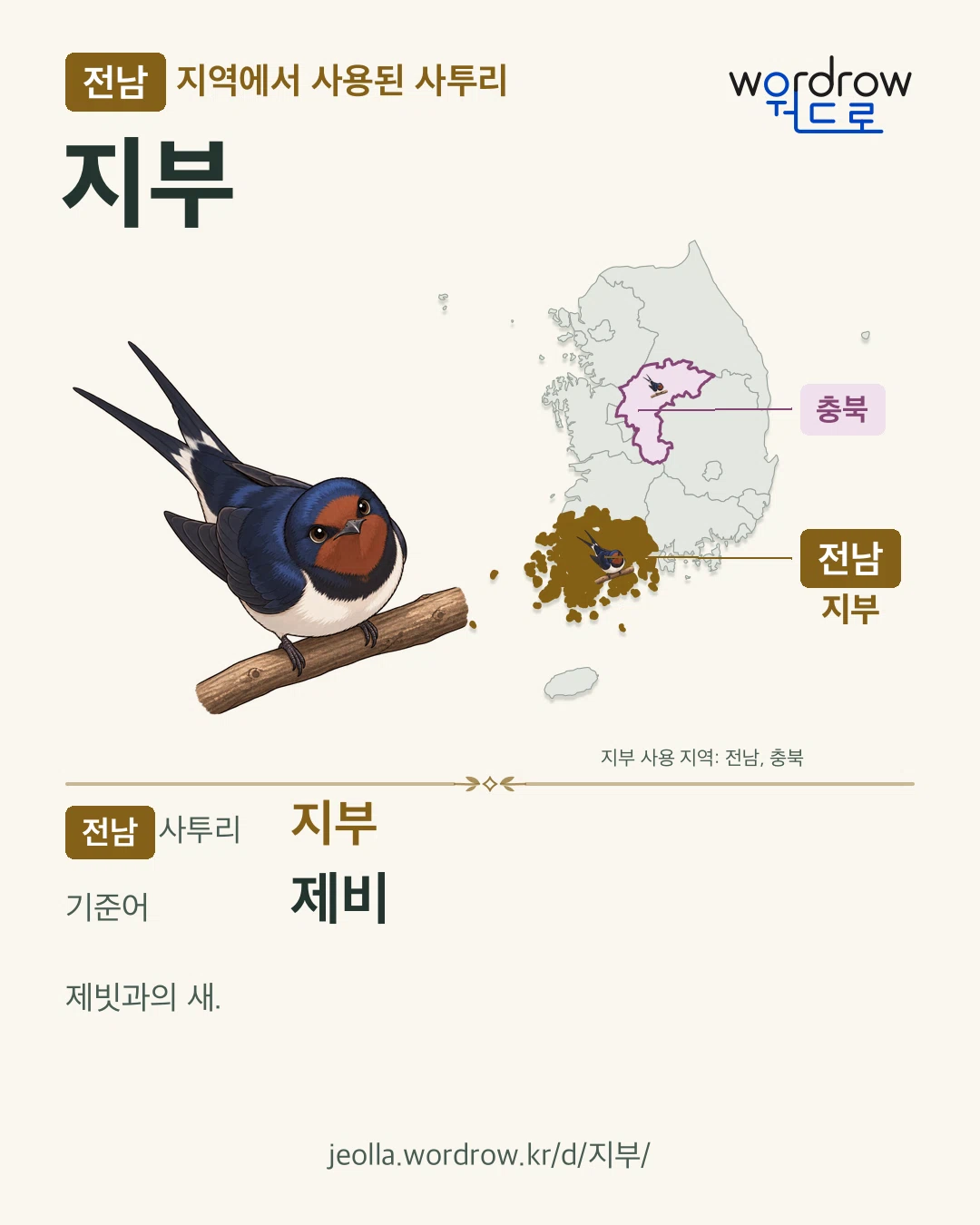 전남 지역에서 사용된 사투리 ‘지부’. 기준어: 제비. 기록 지역을 표시한 카툰 삽화와 지도 카드.