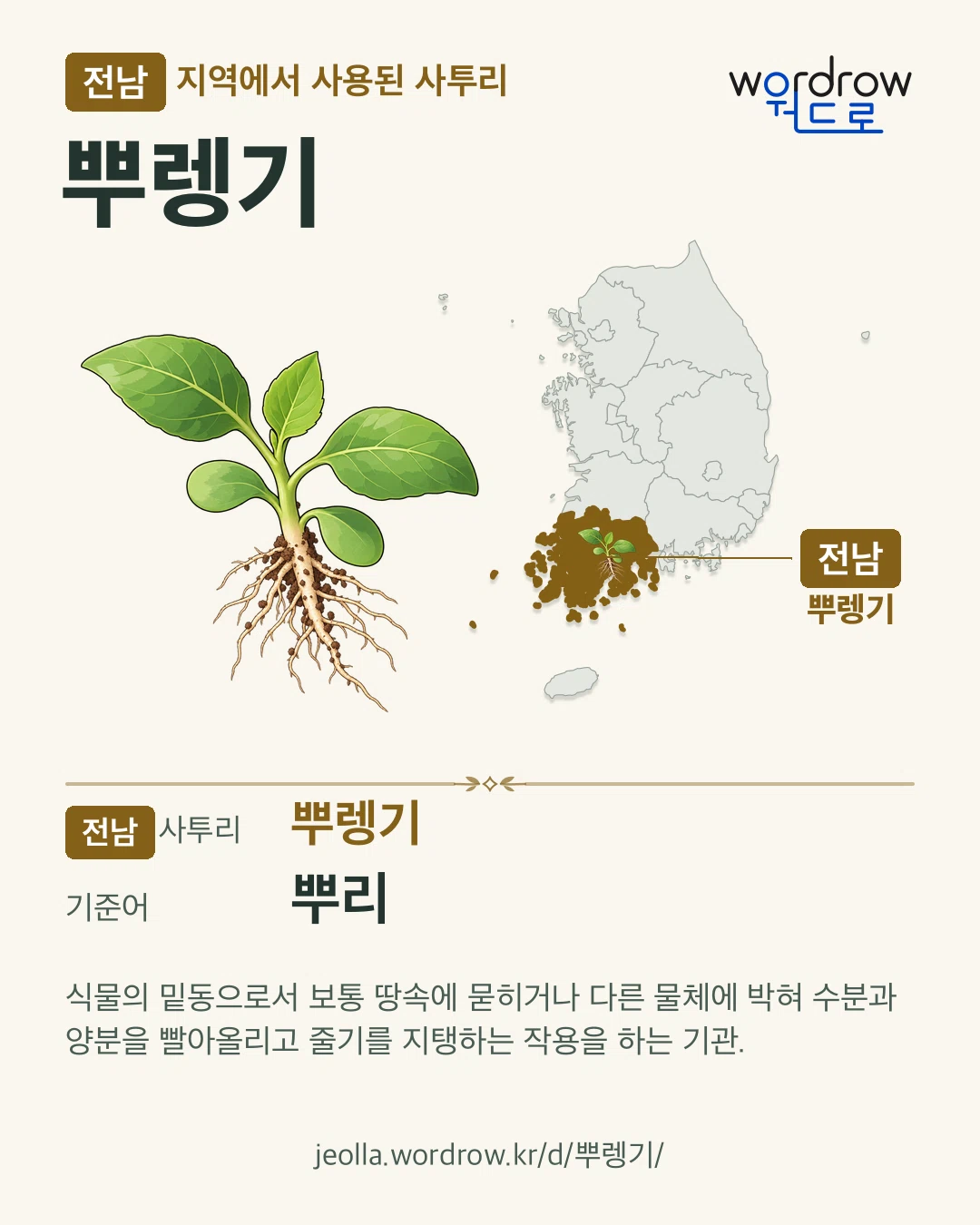 전남 지역에서 사용된 사투리 ‘뿌렝기’. 기준어: 뿌리. 기록 지역을 표시한 카툰 삽화와 지도 카드.