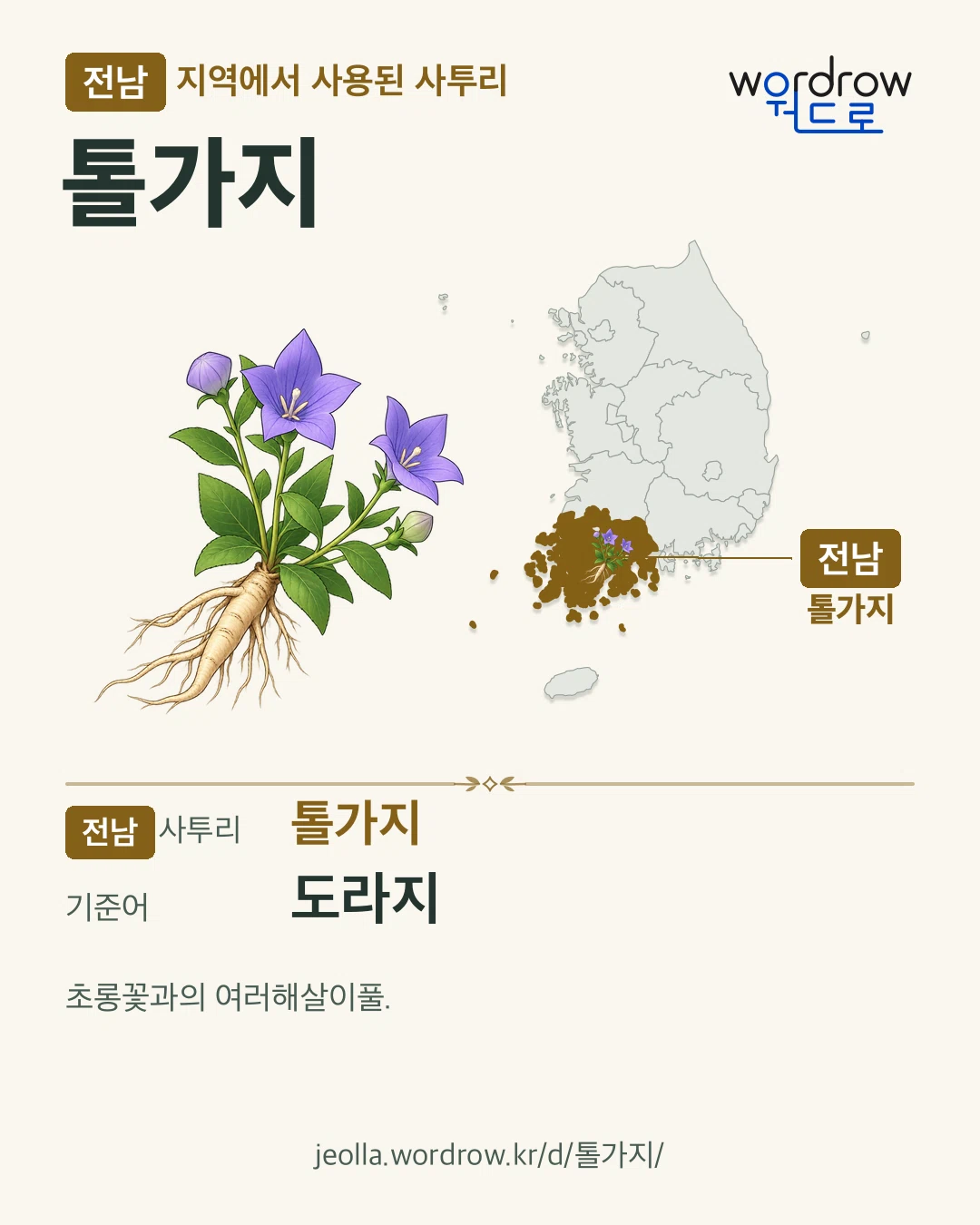 전남 지역에서 사용된 사투리 ‘톨가지’. 기준어: 도라지. 기록 지역을 표시한 카툰 삽화와 지도 카드.