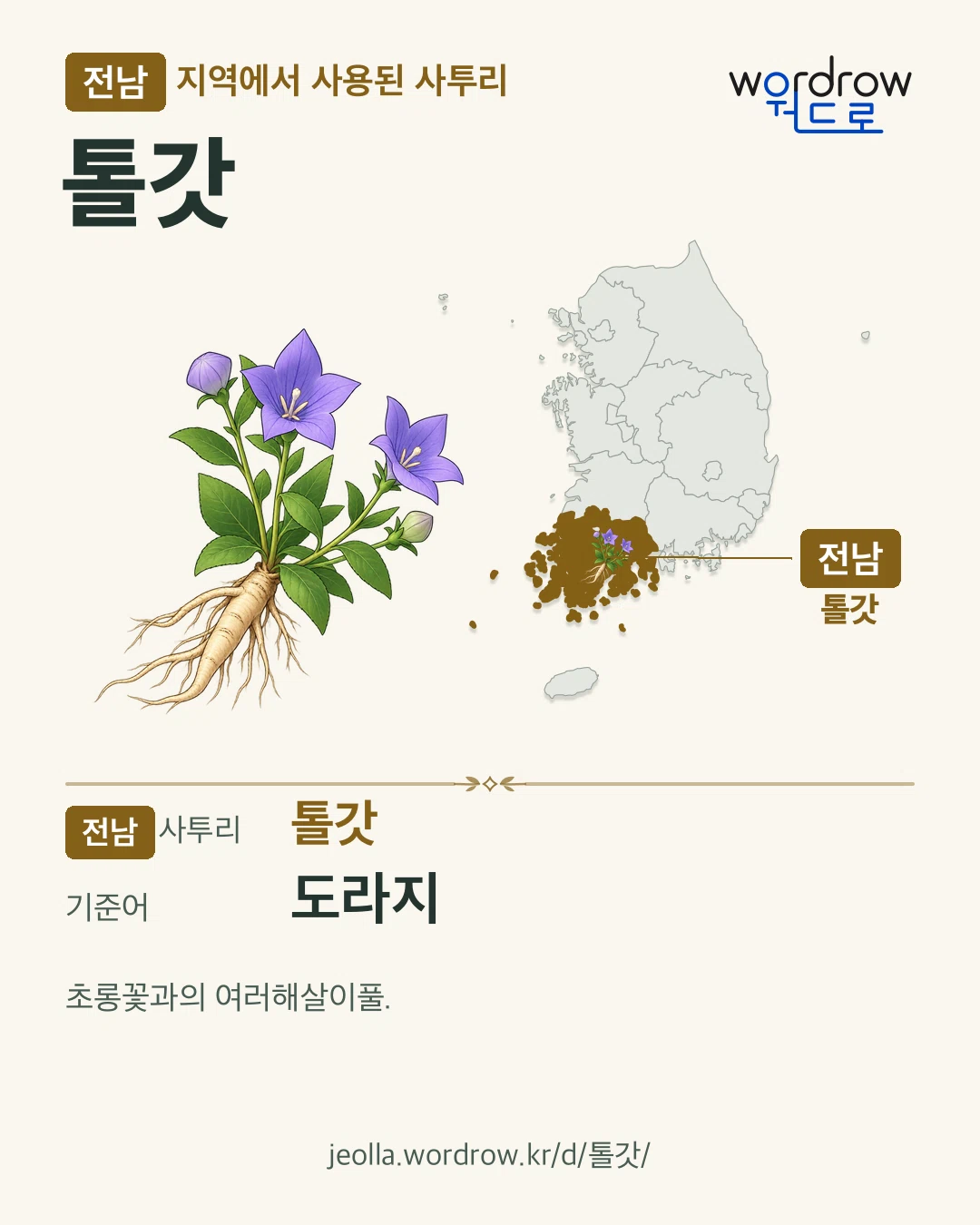 전남 지역에서 사용된 사투리 ‘톨갓’. 기준어: 도라지. 기록 지역을 표시한 카툰 삽화와 지도 카드.