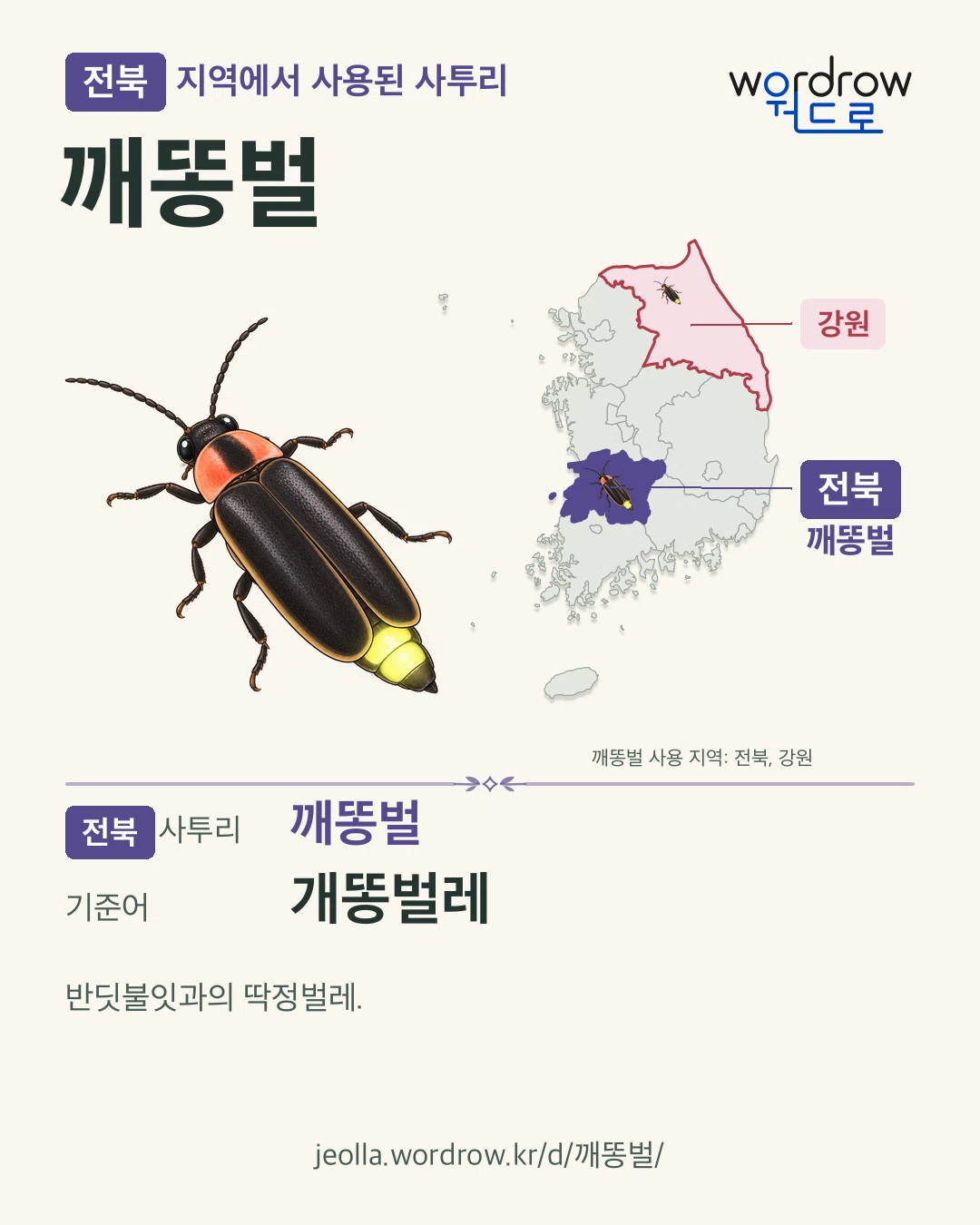 전북 지역에서 사용된 사투리 ‘깨똥벌’. 기준어: 개똥벌레. 기록 지역을 표시한 카툰 삽화와 지도 카드.