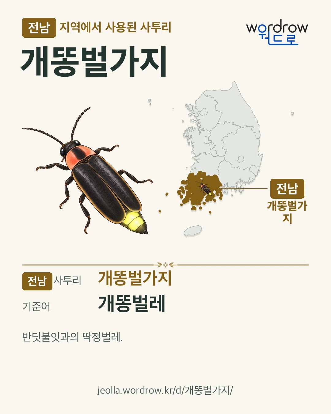 전남 지역에서 사용된 사투리 ‘개똥벌가지’. 기준어: 개똥벌레. 기록 지역을 표시한 카툰 삽화와 지도 카드.