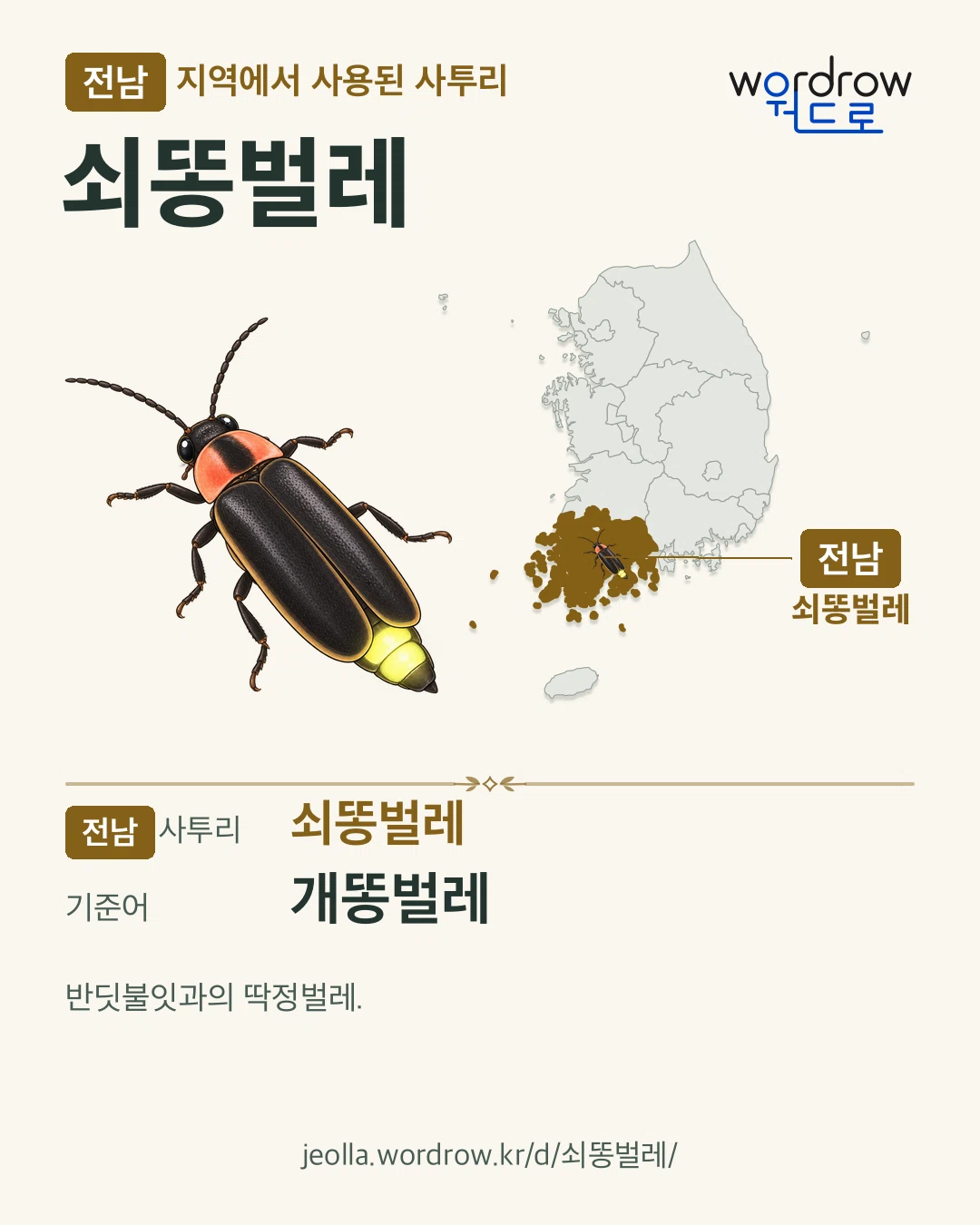 전남 지역에서 사용된 사투리 ‘쇠똥벌레’. 기준어: 개똥벌레. 기록 지역을 표시한 카툰 삽화와 지도 카드.
