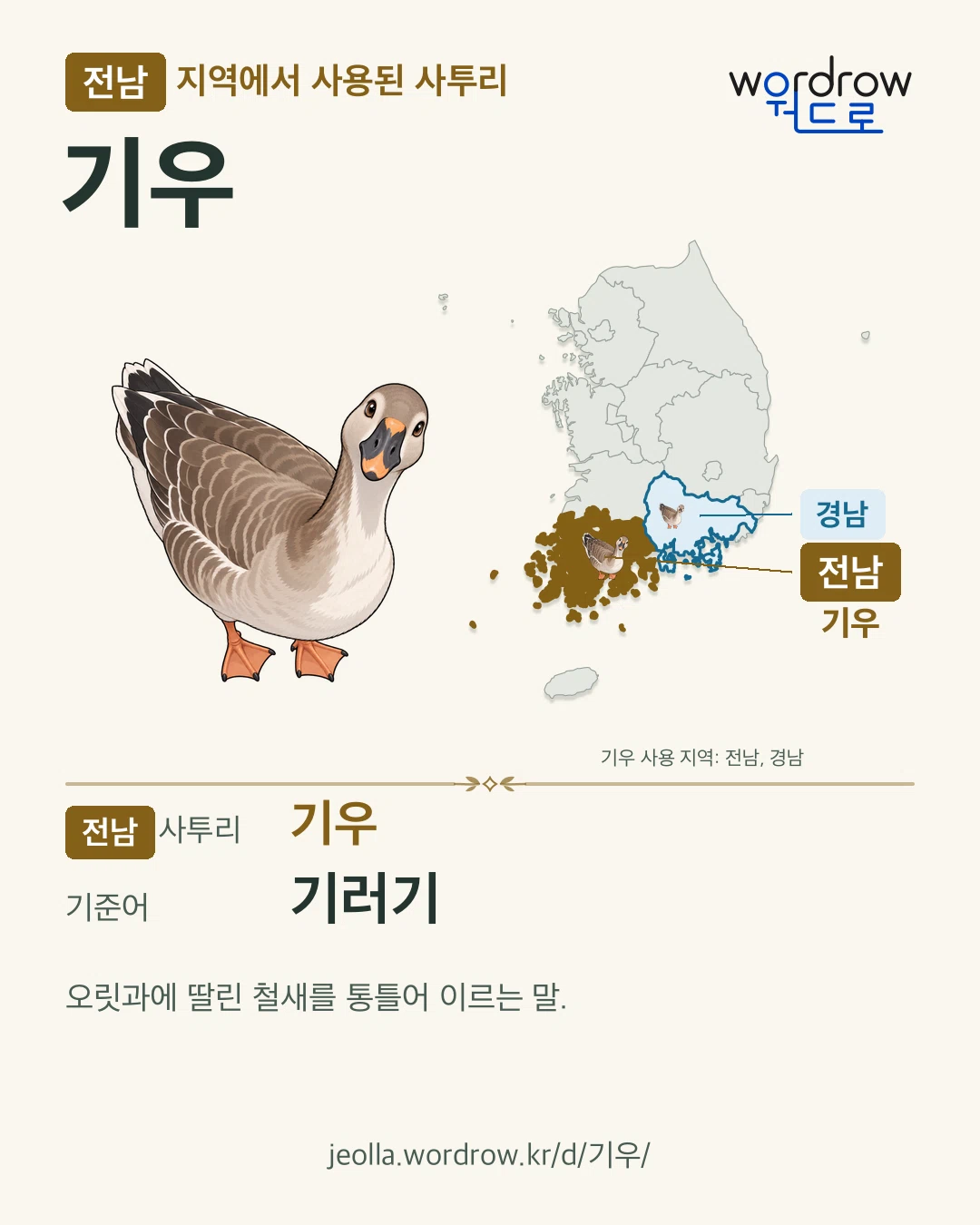 전남 지역에서 사용된 사투리 ‘기우’. 기준어: 기러기. 기록 지역을 표시한 카툰 삽화와 지도 카드.