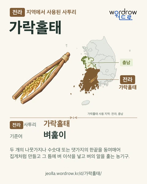 전라 지역에서 사용된 사투리 ‘가락홀태’. 기준어: 벼훑이. 기록 지역을 표시한 카툰 삽화와 지도 카드.
