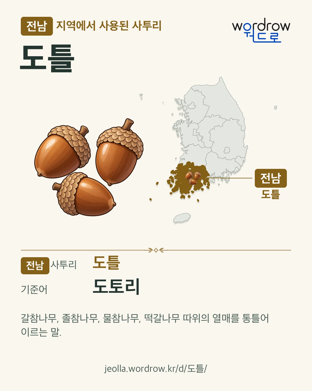 전남 지역에서 사용된 사투리 ‘도틀’. 기준어: 도토리. 기록 지역을 표시한 카툰 삽화와 지도 카드.