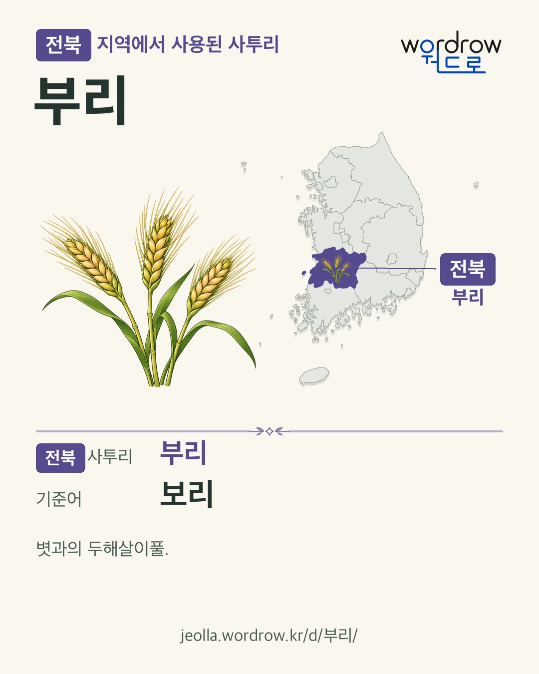 전북 지역에서 사용된 사투리 ‘부리’. 기준어: 보리. 기록 지역을 표시한 카툰 삽화와 지도 카드.