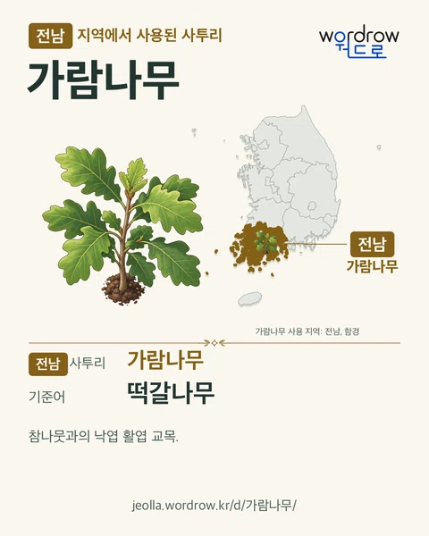 전남 지역에서 사용된 사투리 ‘가람나무’. 기준어: 떡갈나무. 기록 지역을 표시한 카툰 삽화와 지도 카드.