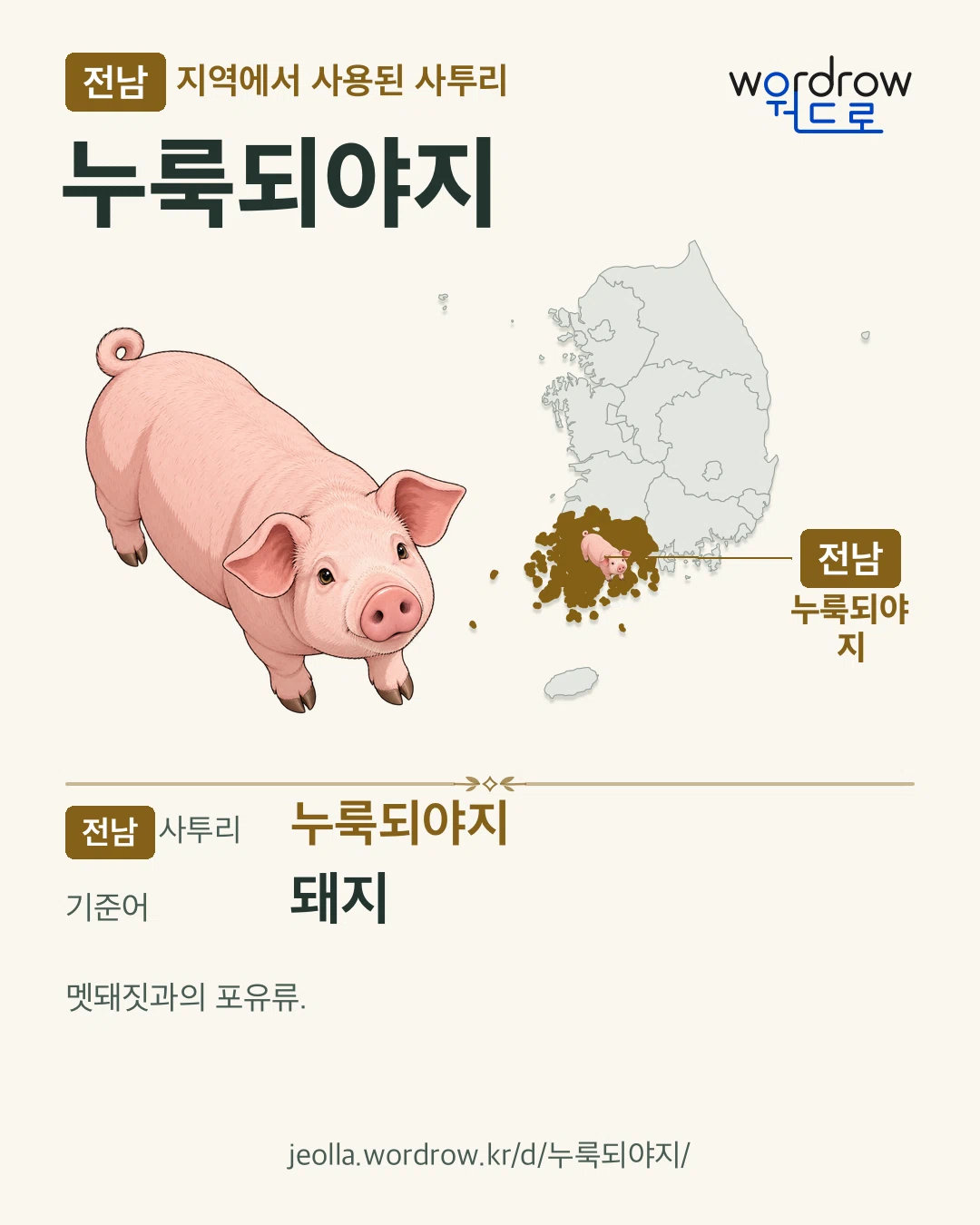 전남 지역에서 사용된 사투리 ‘누룩되야지’. 기준어: 돼지. 기록 지역을 표시한 카툰 삽화와 지도 카드.
