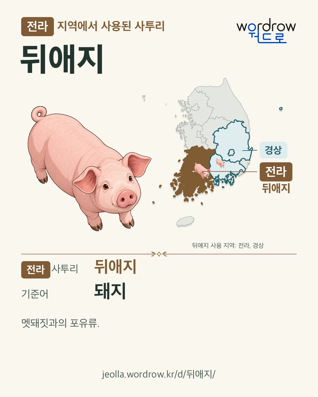 전라 지역에서 사용된 사투리 ‘뒤애지’. 기준어: 돼지. 기록 지역을 표시한 카툰 삽화와 지도 카드.