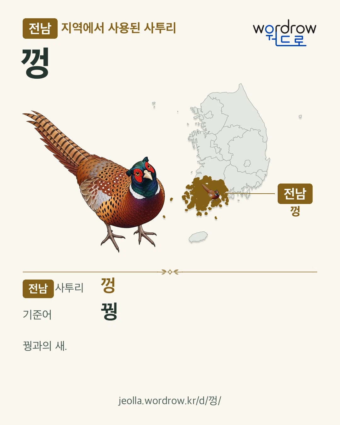 전남 지역에서 사용된 사투리 ‘껑’. 기준어: 꿩. 기록 지역을 표시한 카툰 삽화와 지도 카드.
