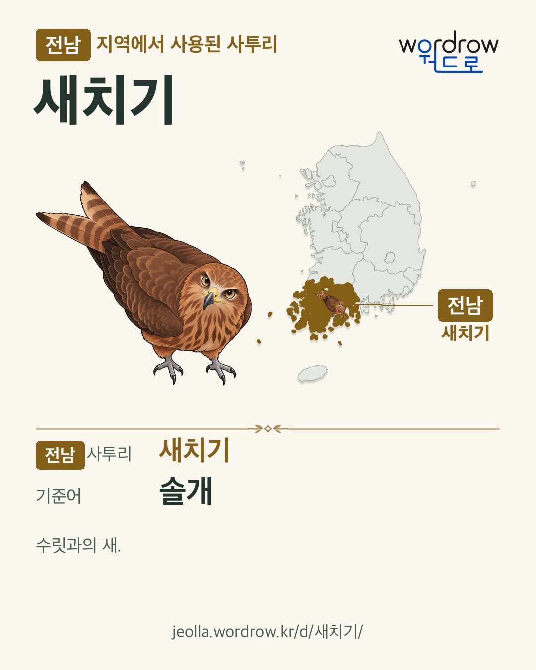 전남 지역에서 사용된 사투리 ‘새치기’. 기준어: 솔개. 기록 지역을 표시한 카툰 삽화와 지도 카드.