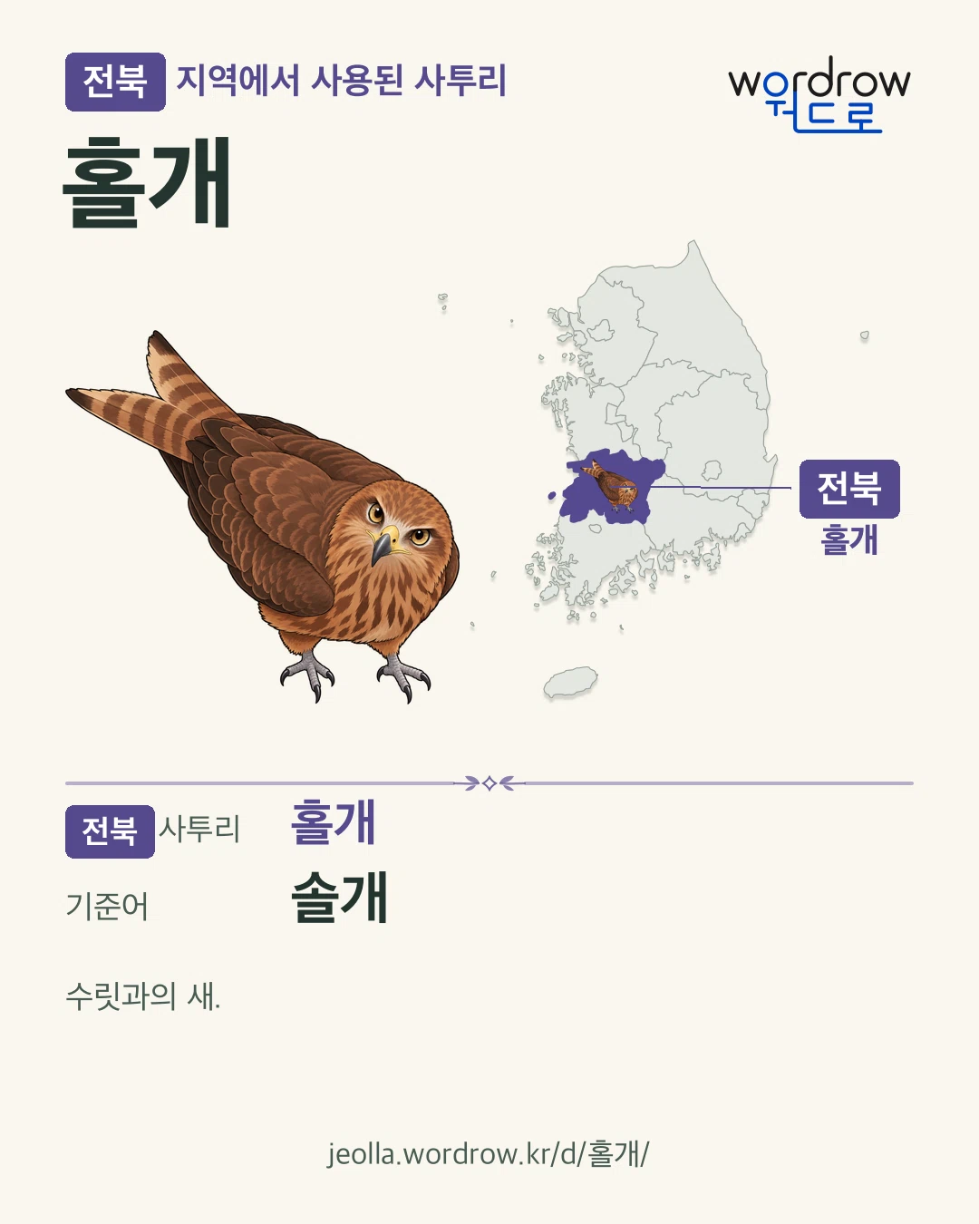 전북 지역에서 사용된 사투리 ‘홀개’. 기준어: 솔개. 기록 지역을 표시한 카툰 삽화와 지도 카드.