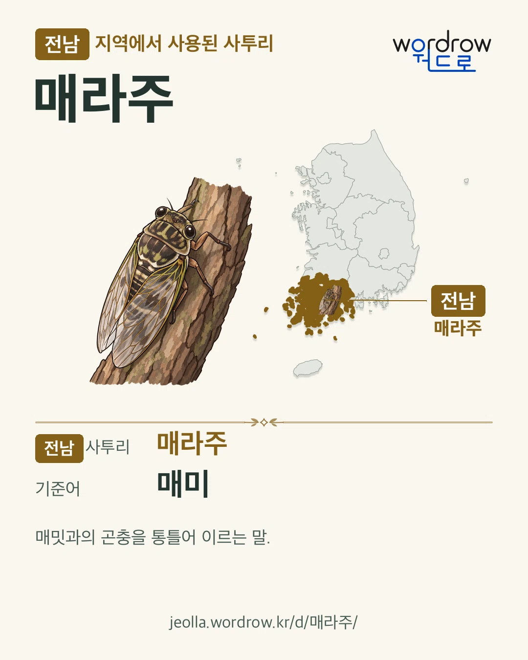 전남 지역에서 사용된 사투리 ‘매라주’. 기준어: 매미. 기록 지역을 표시한 카툰 삽화와 지도 카드.