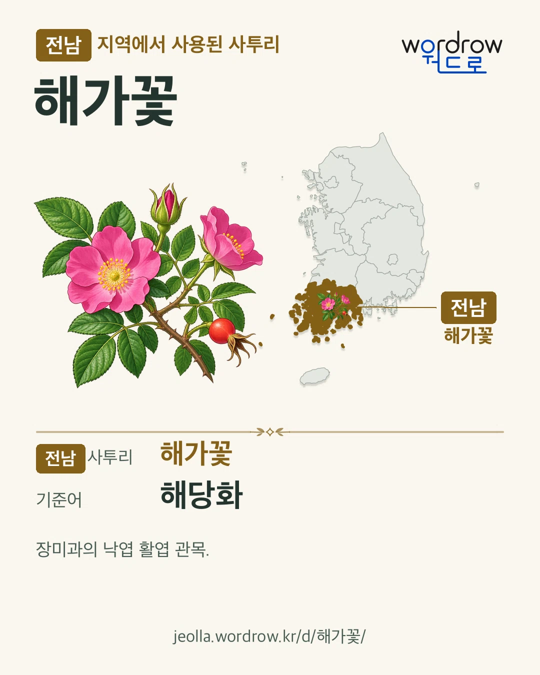 전남 지역에서 사용된 사투리 ‘해가꽃’. 기준어: 해당화. 기록 지역을 표시한 카툰 삽화와 지도 카드.