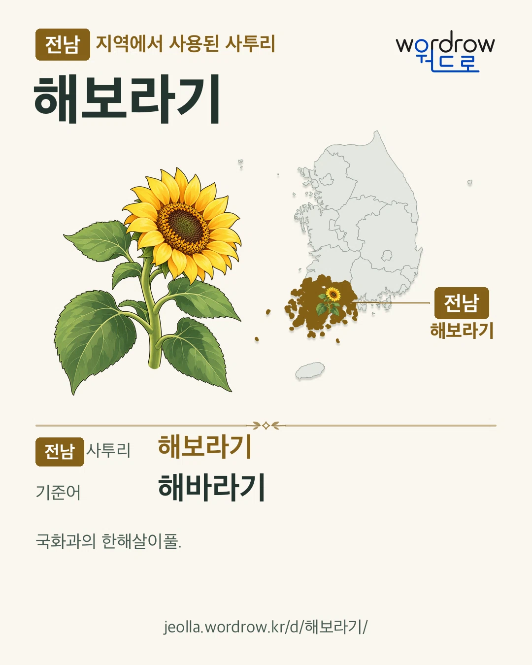 전남 지역에서 사용된 사투리 ‘해보라기’. 기준어: 해바라기. 기록 지역을 표시한 카툰 삽화와 지도 카드.