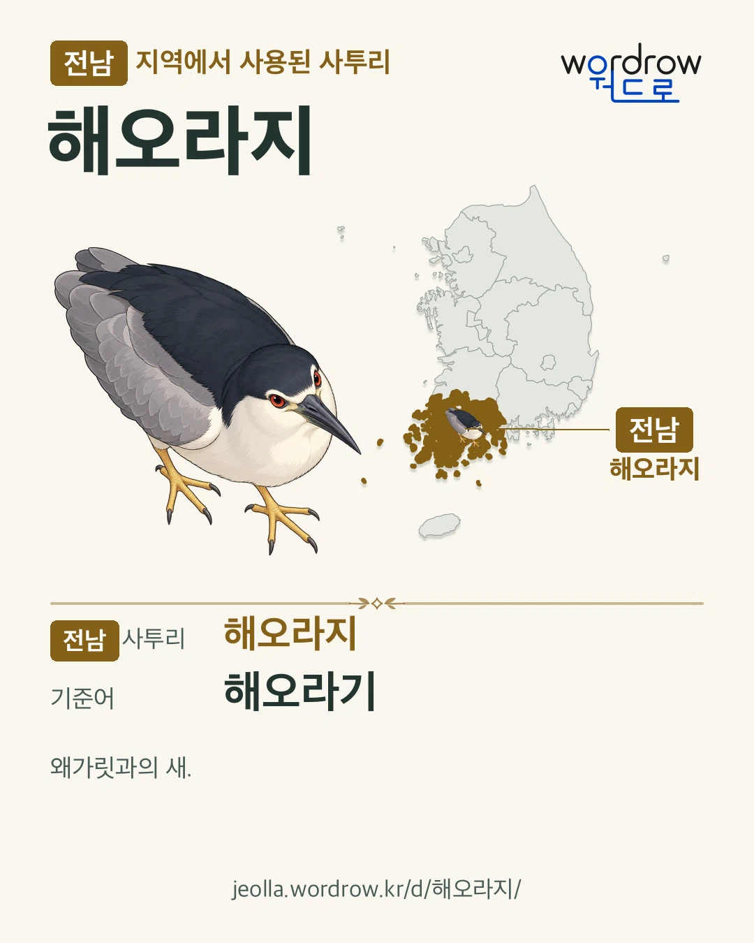 전남 지역에서 사용된 사투리 ‘해오라지’. 기준어: 해오라기. 기록 지역을 표시한 카툰 삽화와 지도 카드.