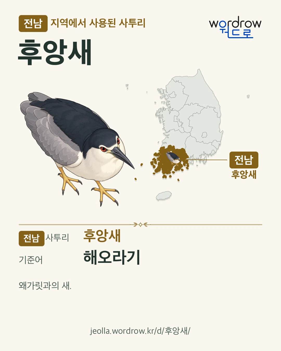 전남 지역에서 사용된 사투리 ‘후앙새’. 기준어: 해오라기. 기록 지역을 표시한 카툰 삽화와 지도 카드.
