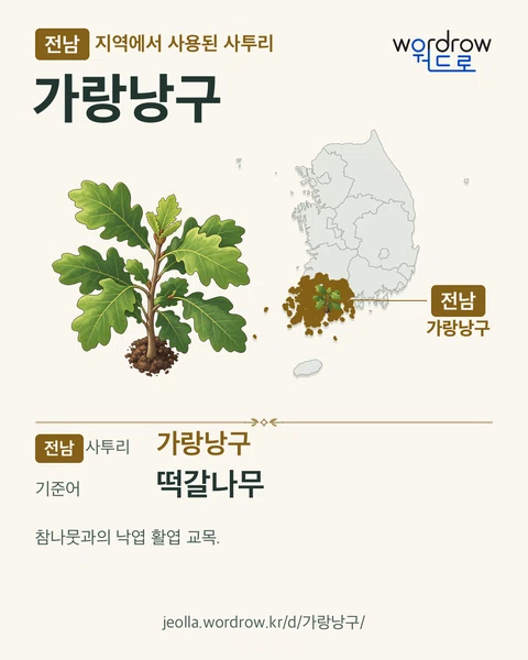 전남 지역에서 사용된 사투리 ‘가랑낭구’. 기준어: 떡갈나무. 기록 지역을 표시한 카툰 삽화와 지도 카드.