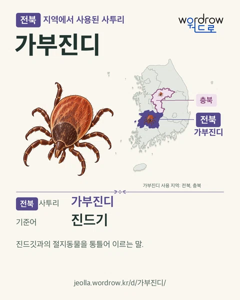 전북 지역에서 사용된 사투리 ‘가부진디’. 기준어: 진드기. 기록 지역을 표시한 카툰 삽화와 지도 카드.