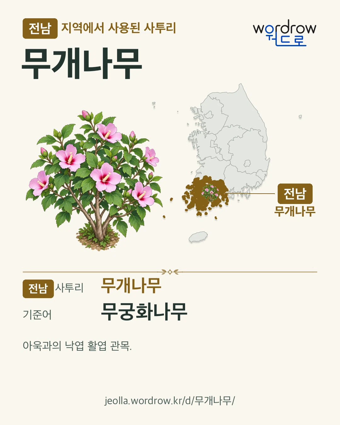 전남 지역에서 사용된 사투리 ‘무개나무’. 기준어: 무궁화나무. 기록 지역을 표시한 카툰 삽화와 지도 카드.