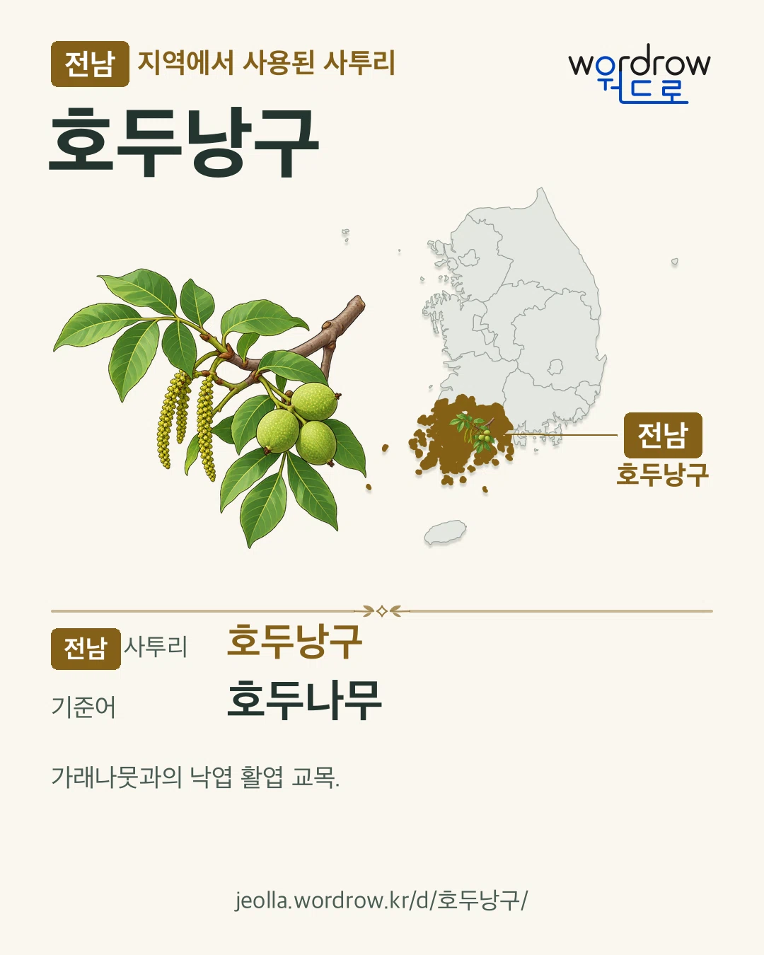 전남 지역에서 사용된 사투리 ‘호두낭구’. 기준어: 호두나무. 기록 지역을 표시한 카툰 삽화와 지도 카드.