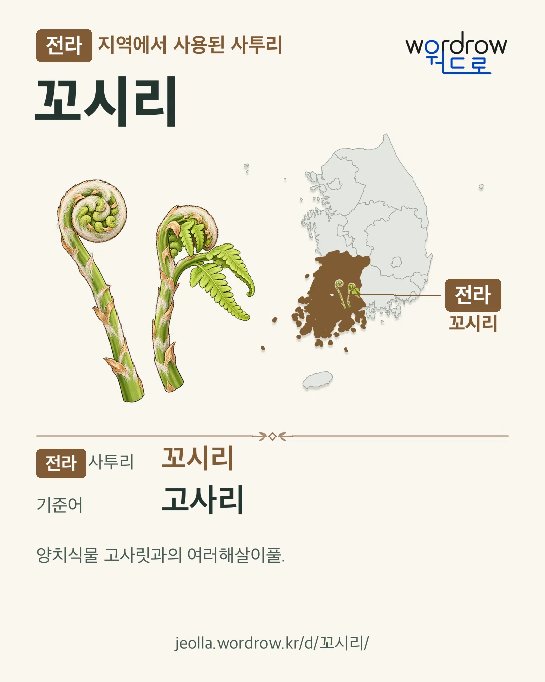 전라 지역에서 사용된 사투리 ‘꼬시리’. 기준어: 고사리. 기록 지역을 표시한 카툰 삽화와 지도 카드.
