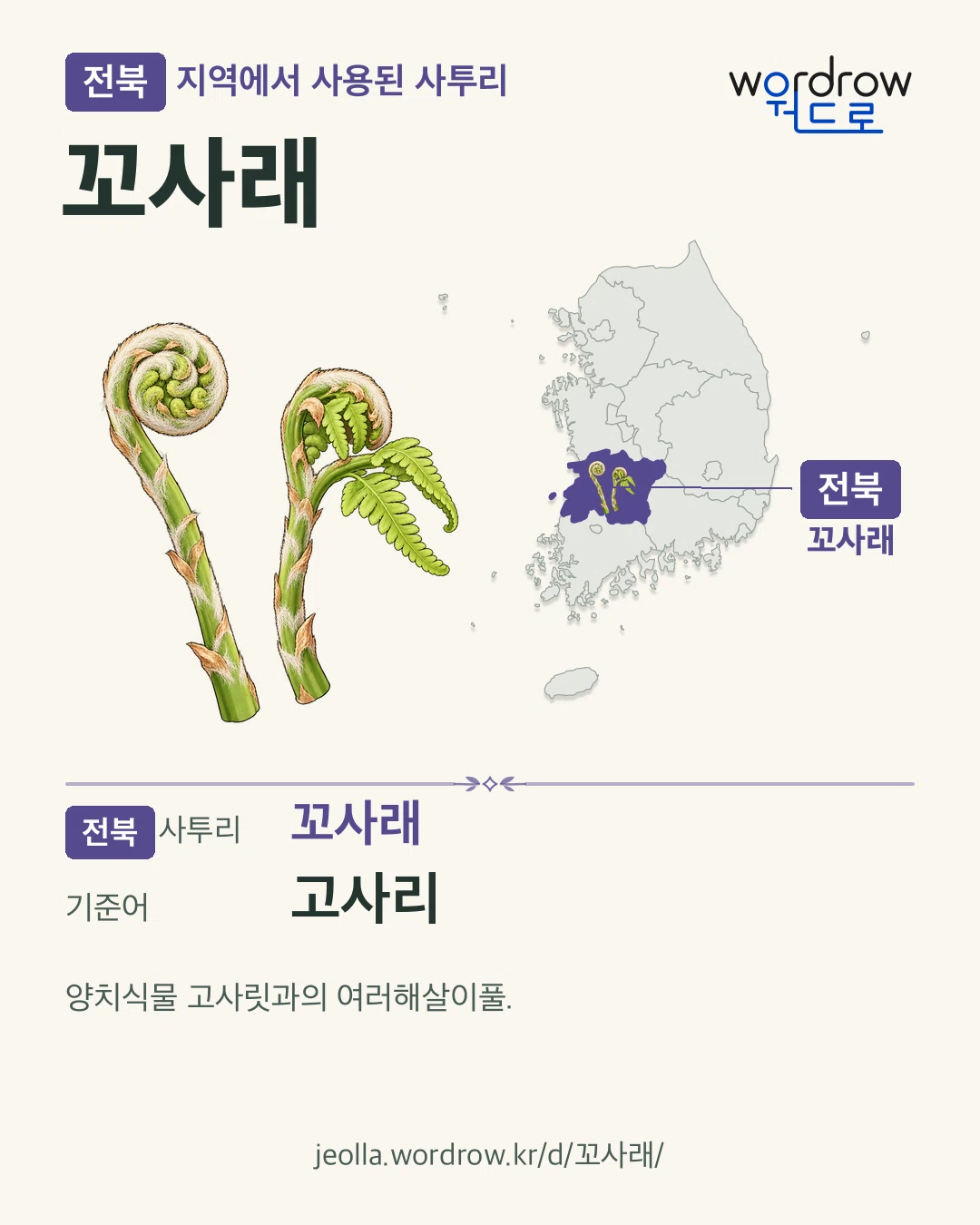 전북 지역에서 사용된 사투리 ‘꼬사래’. 기준어: 고사리. 기록 지역을 표시한 카툰 삽화와 지도 카드.