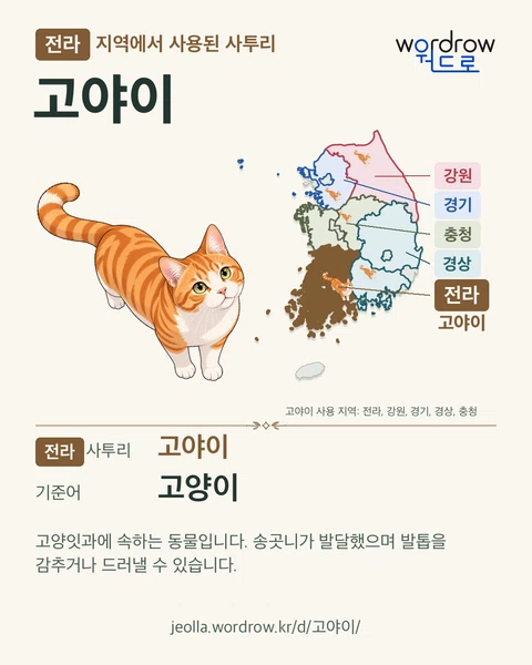 전라 지역에서 사용된 사투리 ‘고야이’. 기준어: 고양이. 기록 지역을 표시한 카툰 삽화와 지도 카드.