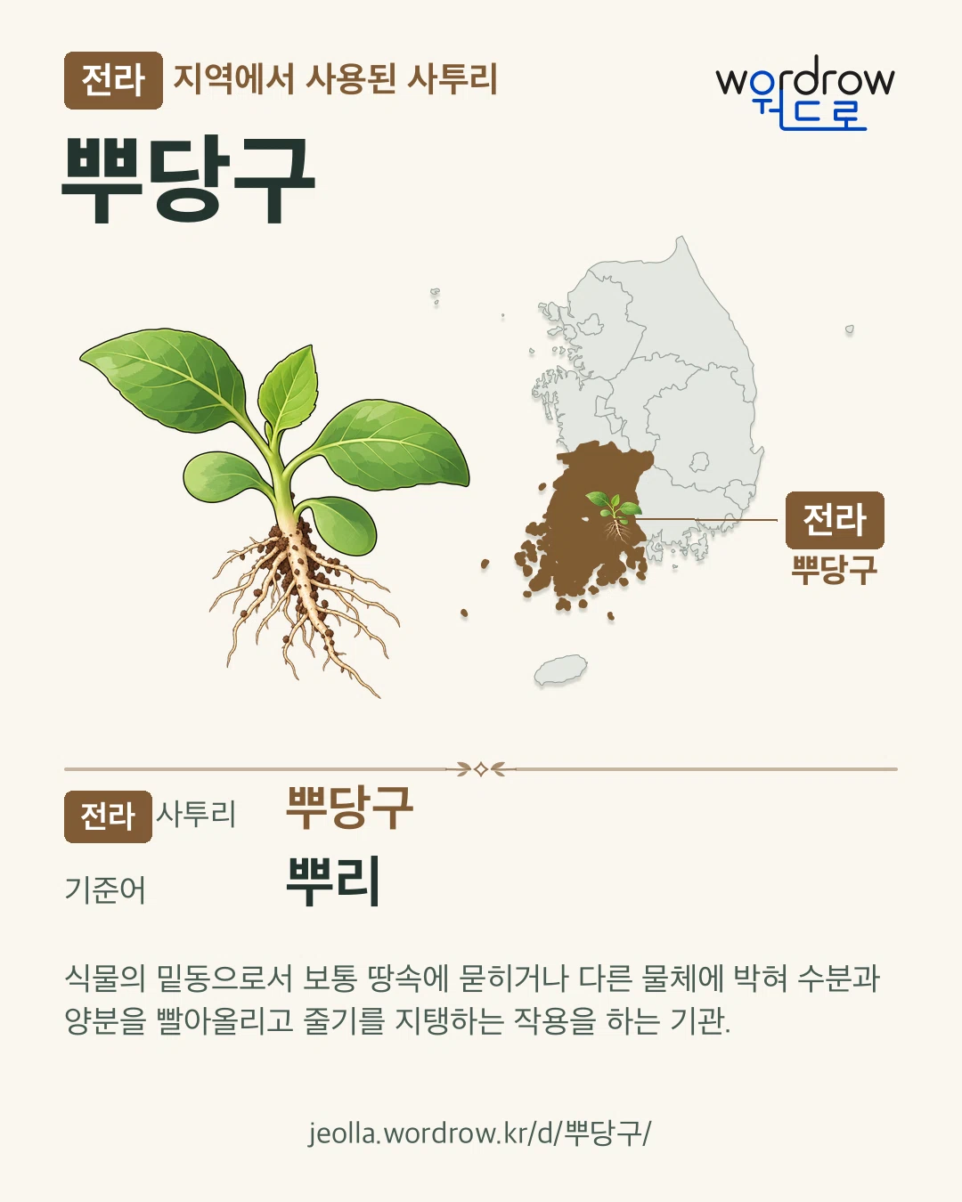 전라 지역에서 사용된 사투리 ‘뿌당구’. 기준어: 뿌리. 기록 지역을 표시한 카툰 삽화와 지도 카드.